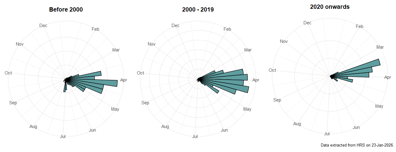 Phenology plots for Cheilosia albipila