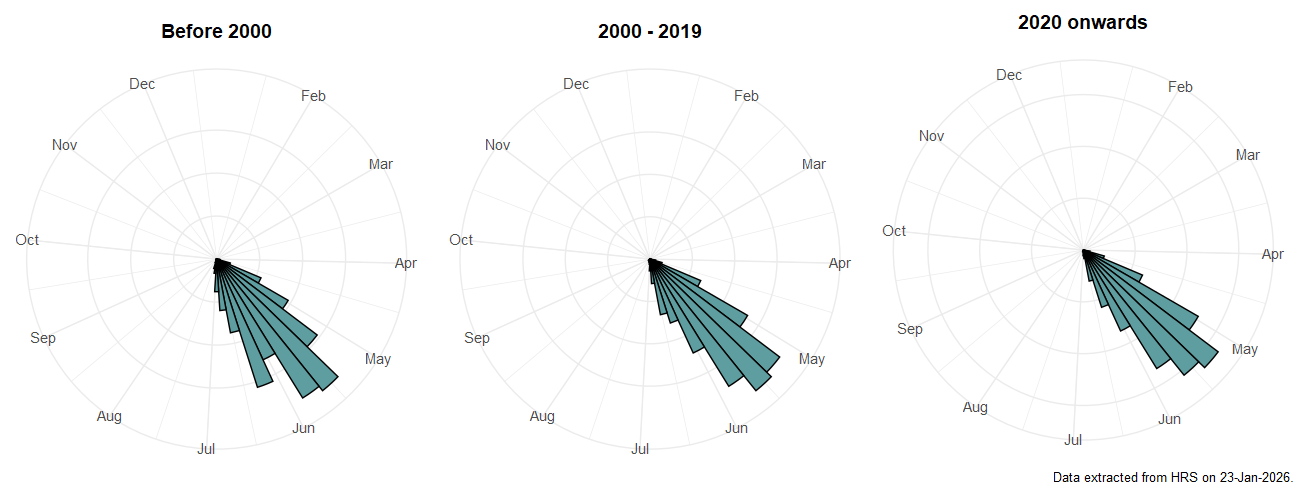 Phenology plots for Cheilosia albitarsis