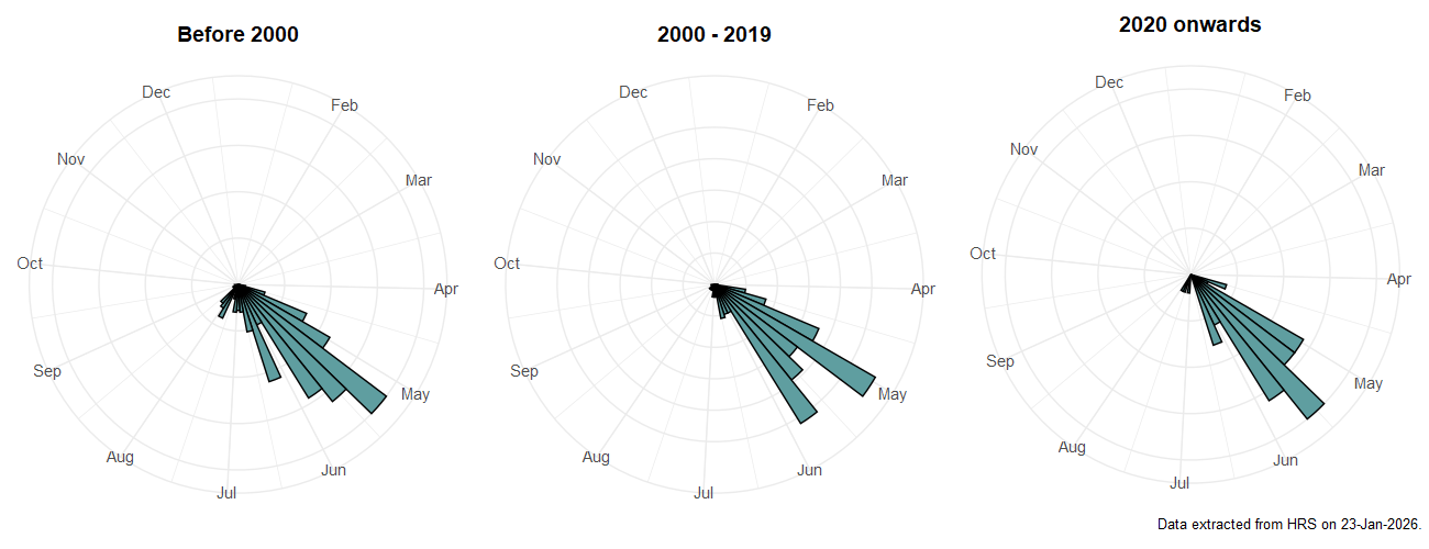 Phenology plots for Cheilosia antiqua