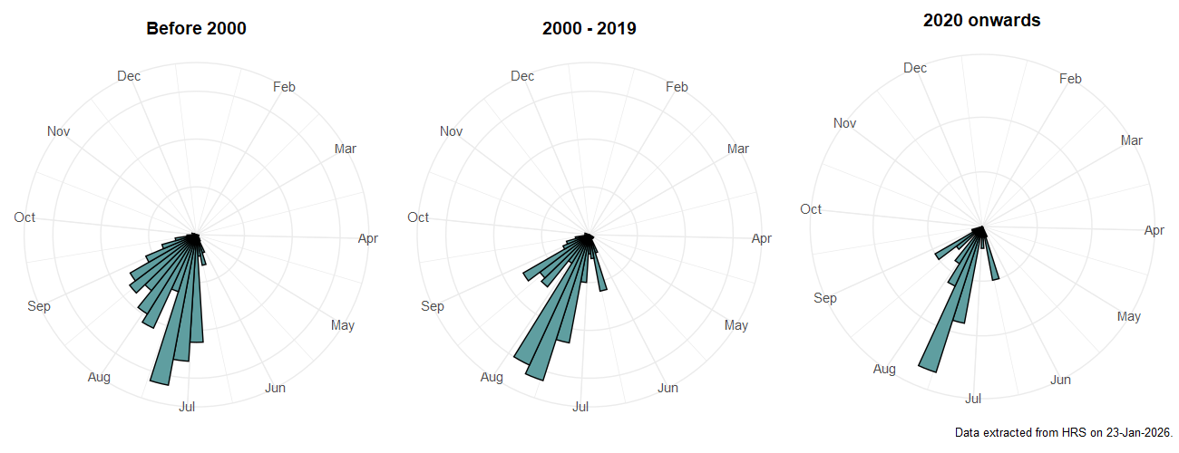 Phenology plots for Cheilosia longula