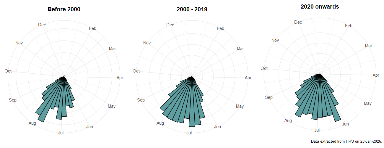Phenology plots for Chrysotoxum festivum