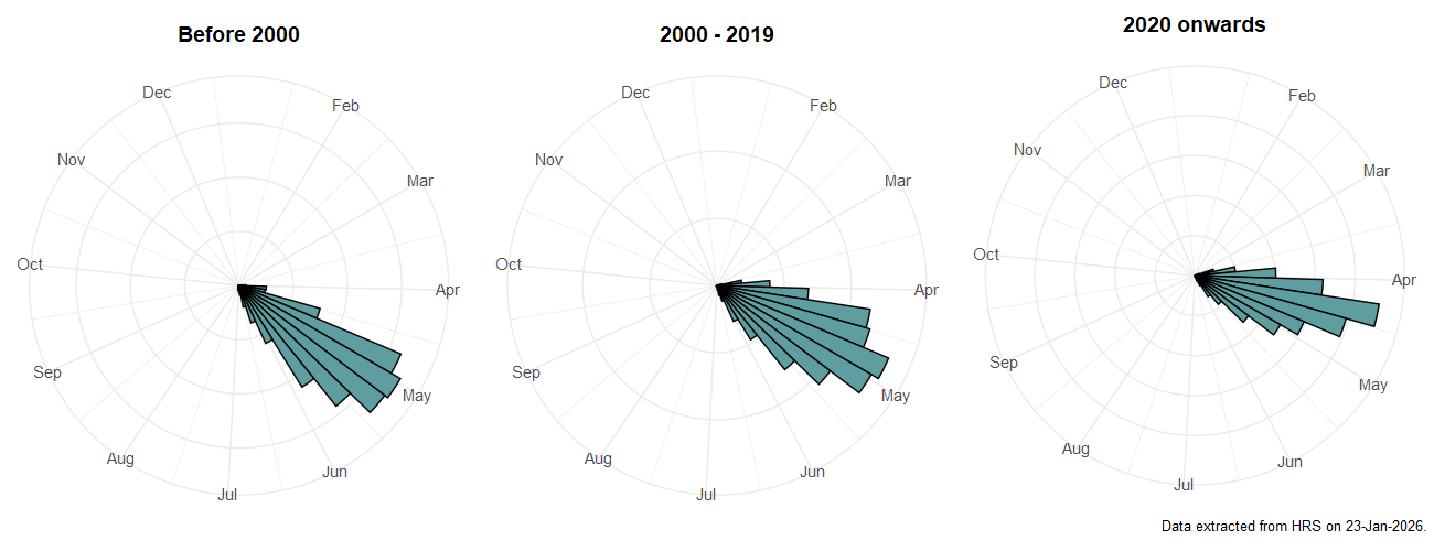 Phenology plots for Epistrophe eligans