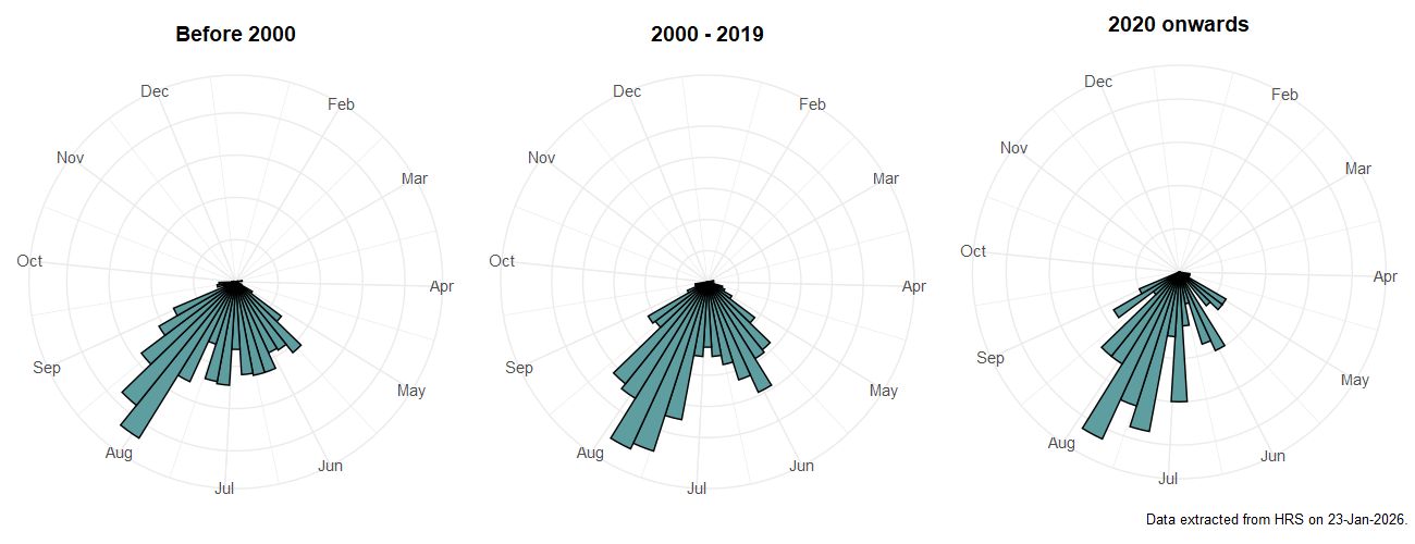Phenology plots for Eumerus strigatus