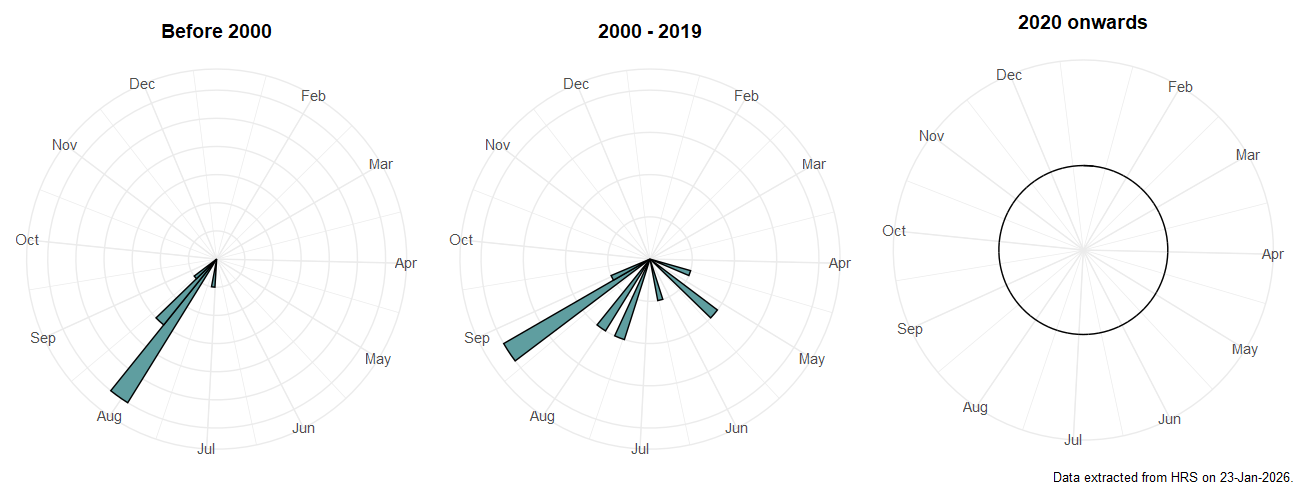 Phenology plots for Eupeodes lundbecki