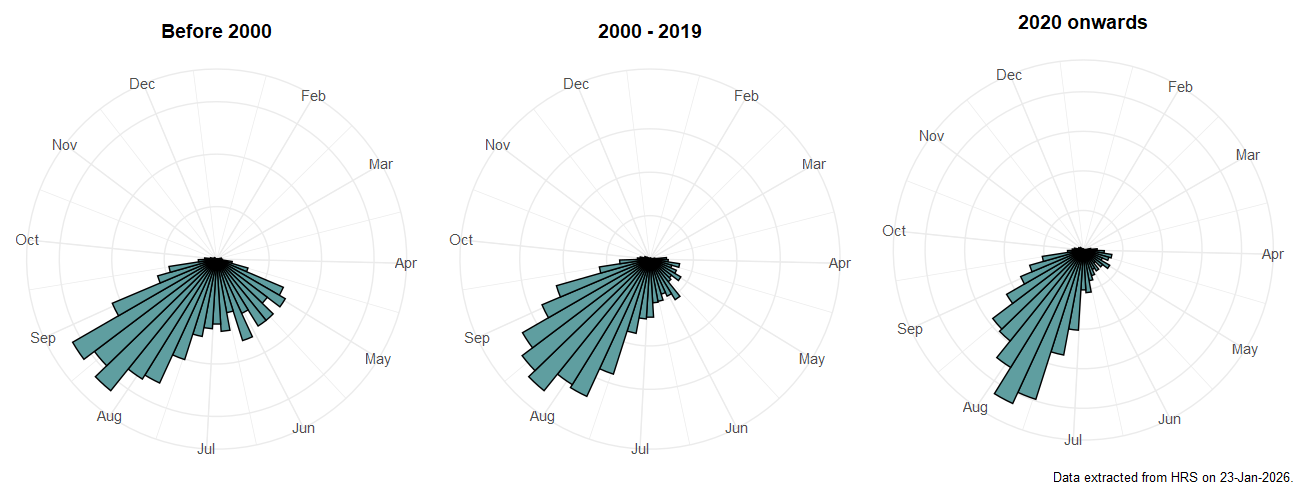 Phenology plots for Meliscaeva cinctella