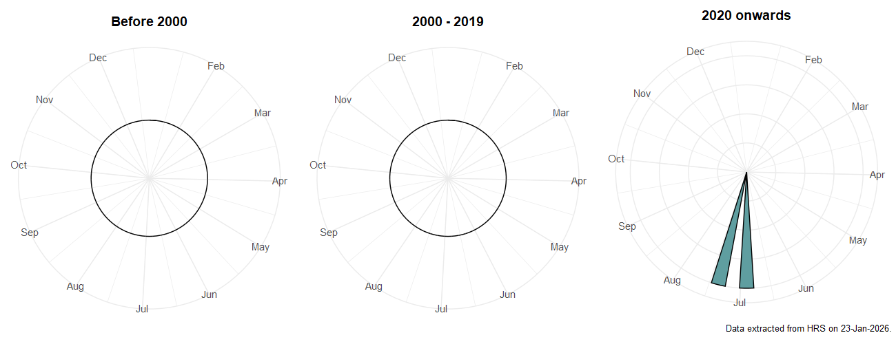 Phenology plots for Paragus quadrifasciatus