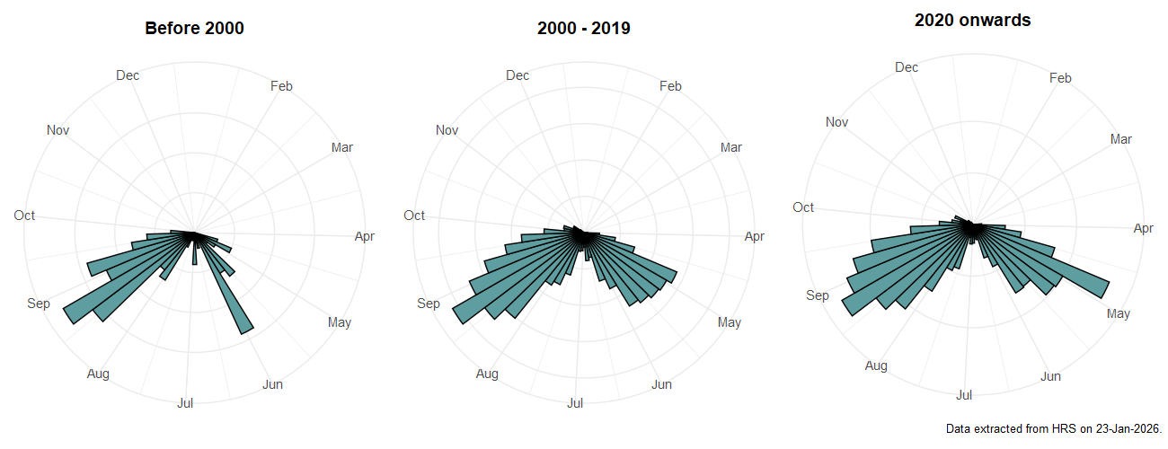 Phenology plots for Rhingia rostrata