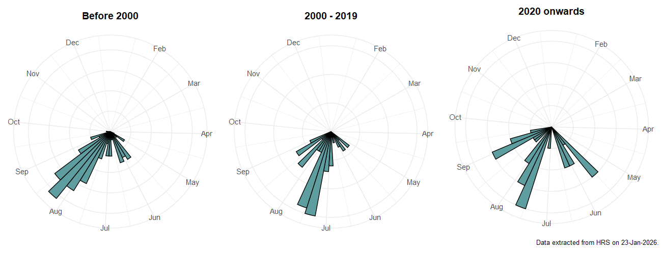 Phenology plots for Triglyphus primus