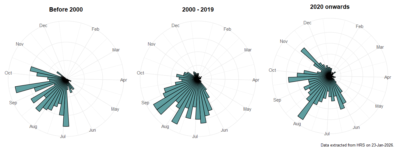 Phenology plots for Xanthandrus comtus