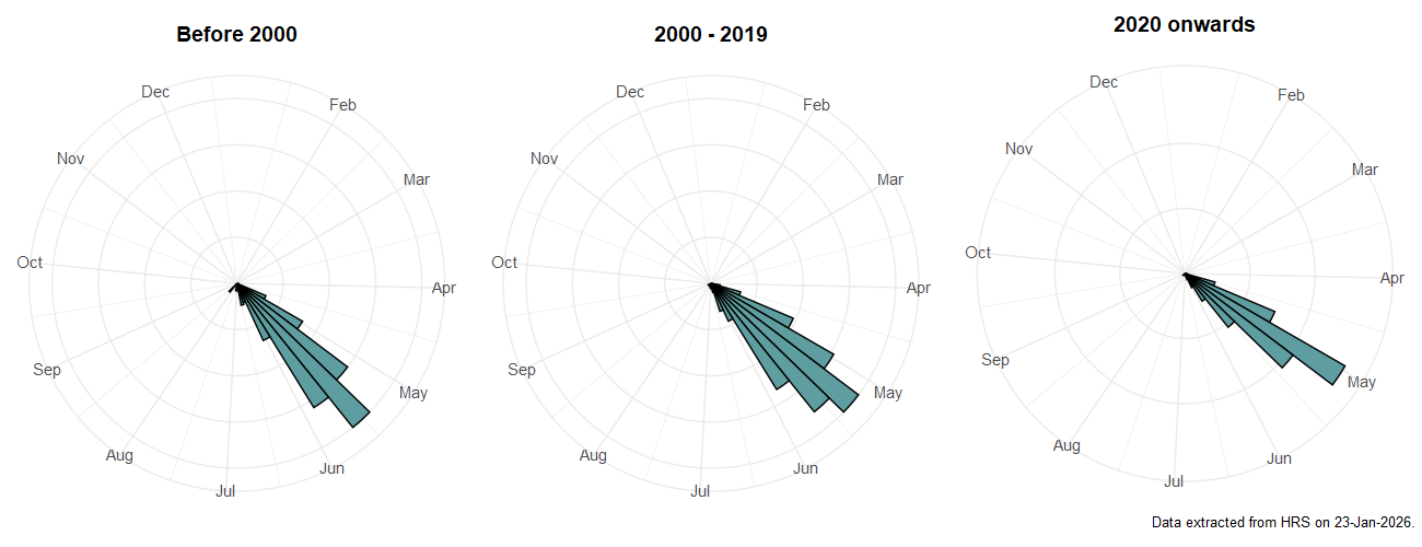 Phenology plots for Xanthogramma citrofasciatum