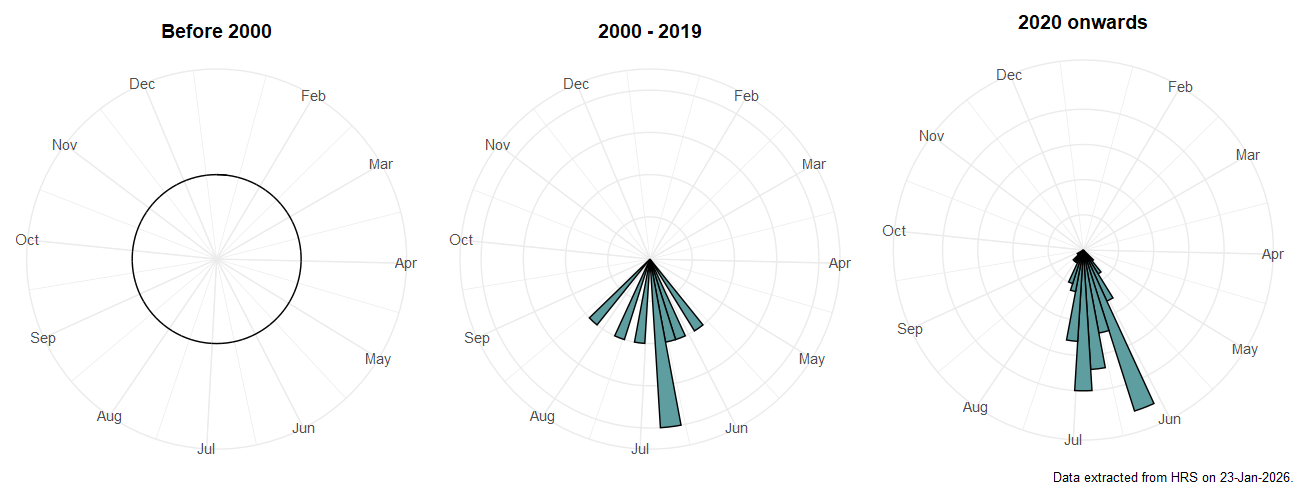 Phenology plots for Xanthogramma stackelbergi